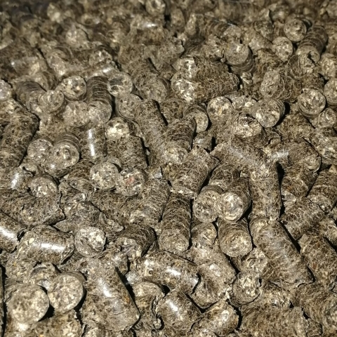 aurinkokukkapelletti